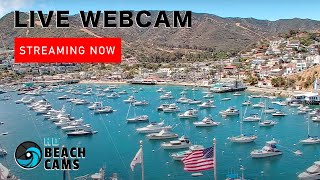 Live Webcam Catalina Island California [upl. by Jacenta]