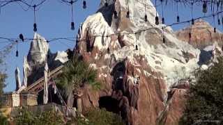 Disneys Animal Kingdom 2014 Tour and Overview  Walt Disney World HD [upl. by Margarita]