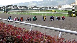 Wiener dog races Final [upl. by Coussoule986]