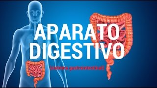 Aparato digestivo sistema gastrointestinal [upl. by Elegna]