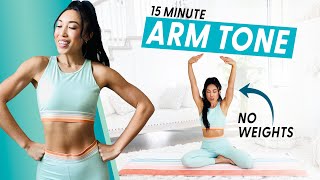 15 Minute Arm Burnout weightless upper body workout [upl. by Inus]