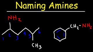 Naming Amines  IUPAC Nomenclature amp Common Names [upl. by Lucienne672]