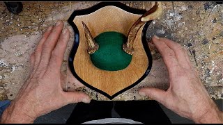 DIY How To Make an Antler Plaque [upl. by Bilicki523]