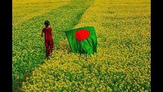 Amar Sonar Bangla Ami Tomai Valobashi Bangladesh National Song [upl. by Phylis615]