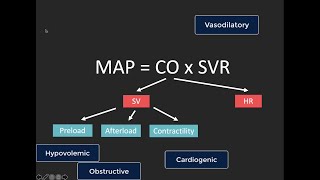 POCUS estimation of cardiac output [upl. by Dudden]