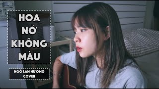 HOA NỞ KHÔNG MÀU HOÀI LÂM  LIVE COVER  NGÔ LAN HƯƠNG [upl. by Lyndsay245]