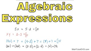 05  Evaluating Algebraic Expressions Part 1 [upl. by Octavia]