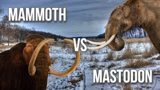 Mammoth v Mastodon [upl. by Adihsar7]