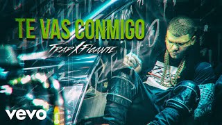 Farruko  Te Vas Conmigo Audio [upl. by Ehav]