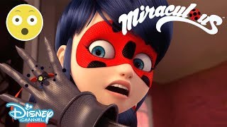 Miraculous Ladybug  Prince Kim 👑  Season 2 Sneak Peek  Official Disney Channel UK [upl. by Anayad350]