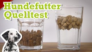 Hundefutter Quelltest mit Platinum Trockenfutter [upl. by Kristal80]