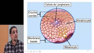 Histologie de la peau  Pr A Fakhri [upl. by Meta]