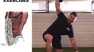 Advanced Oblique Exercises [upl. by Legge887]