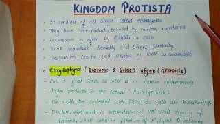 Class 11th  Kingdom protista  Biological Classification Part2  Chapter2 NOTES [upl. by Bellina979]