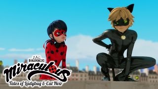 Miraculous Ladybug  ANIMAN  Ladybug and Cat Noir [upl. by Zorine]