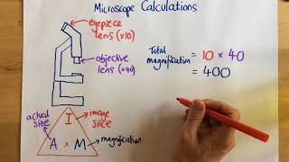 Microscope Calculations  p14 [upl. by Hibben]