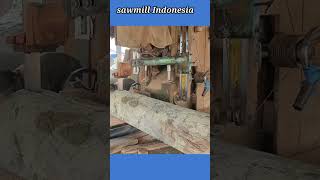 proses Penggergajian kayu keruing gergajisawmill [upl. by Gschu]