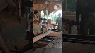 kayu keruing kapur sawmill [upl. by Lefton777]