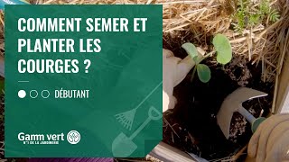 TUTO Comment semer et planter les courges   Jardinerie Gamm vert [upl. by Skill555]