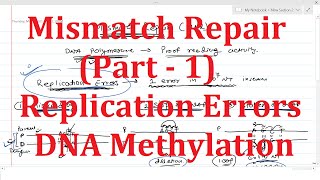 PART1 Mismatch Repair  Replication Errors  DNA Methylation [upl. by Sirap]