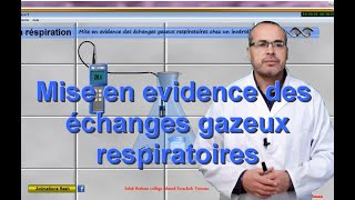 les échanges gazeux respiratoires [upl. by Clem]