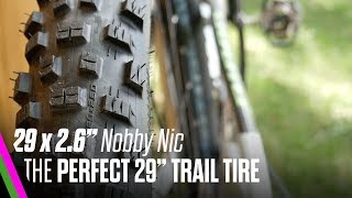 29 x 26 Schwalbe Nobby Nic REVIEW  THE PERFECT 29quot TRAIL TIRE  Plus goes minus [upl. by Lillian361]