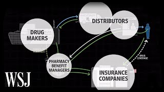 How Drug Prices Work  WSJ [upl. by Darda]