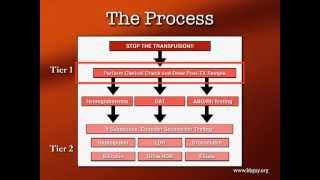 Transfusion Reactions Part 1 [upl. by Ylim]