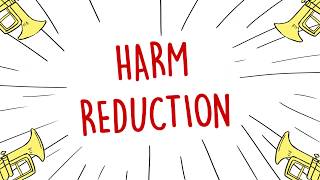 An Introduction to Harm Reduction by QuIHN Ltd [upl. by Nylemaj444]