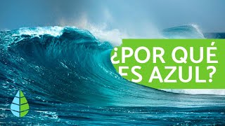 Por qué el MAR es AZUL 🌅 CURIOSIDADES sobre el MAR [upl. by Lorraine]