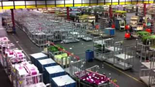 The Largest Flower Market in the World Aalsmeer Holland [upl. by Farron]