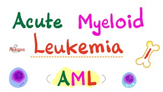 Acute Myeloid Leukemia AML  Auer Rods  Myeloperoxidase Positive  Hematology amp Oncology Series [upl. by Attaynek]