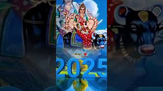 23 જાન્યુઆરી 2025 [upl. by Eeryn]