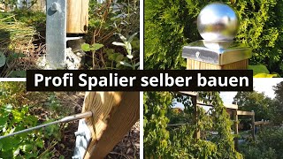 Professionelles Spalier selber bauen [upl. by Oina]