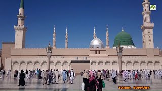 Saudi Arabia Travel Masjid Nabawi Walk in amp Out [upl. by Pepi]