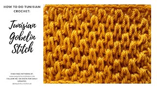 Tunisian Crochet 101 Tunisian Gobelin Stitch [upl. by Yllod]