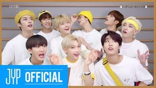 Stray Kids quot부작용Side Effectsquot Fan Featuring Guide Video [upl. by Boarer243]