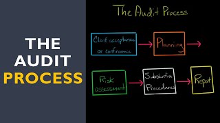 The Audit Process [upl. by Saidel]