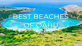 The 10 BEST BEACHES in Oahu  Living in Hawaii these are our favorites [upl. by Nanine]