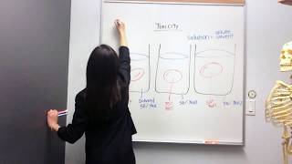 Tonicity Hypertonic Hypotonic and Isotonic Solutions [upl. by Tindall]