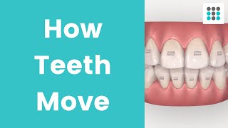 HOW TEETH MOVE WITH ALIGNERS amp BRACES l Dr Melissa Bailey Orthodontist [upl. by Ramar]