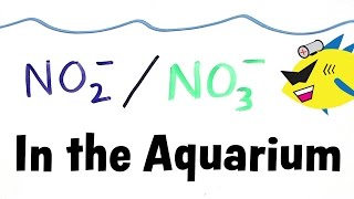 Nitrite and Nitrate in the Aquarium [upl. by Assin]