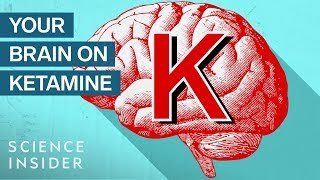 What Ketamine Actually Does To Your Brain  Insider Science [upl. by Edyak]