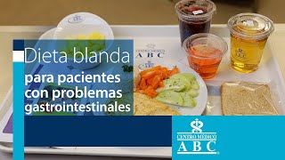 Dieta blanda para pacientes con problemas gastrointestinales [upl. by Atilrak668]