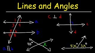 Parallel and Perpendicular Lines Transversals Alternate Interior Angles Alternate Exterior Angles [upl. by Eitsyrhc495]