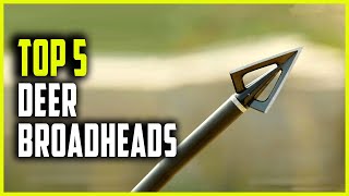 Best Broadheads for Deer  Top 5 Deer Hunting Broadheads [upl. by Charil]