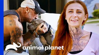 Extremely Shy Dog Finally Gets Adopted  Pit Bulls amp Parolees [upl. by Nolana]