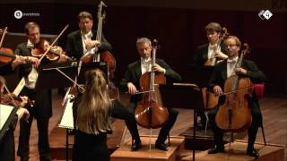 Elgar Serenade for Strings  Concertgebouw Chamber Orchestra  Live concert HD [upl. by Dayna]