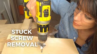 Stuck Screw Removal  5 BEST Ways to Remove Stripped Screws [upl. by Nealey221]