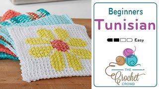 Tunisian for Beginners  The Crochet Crowd [upl. by Fiona]